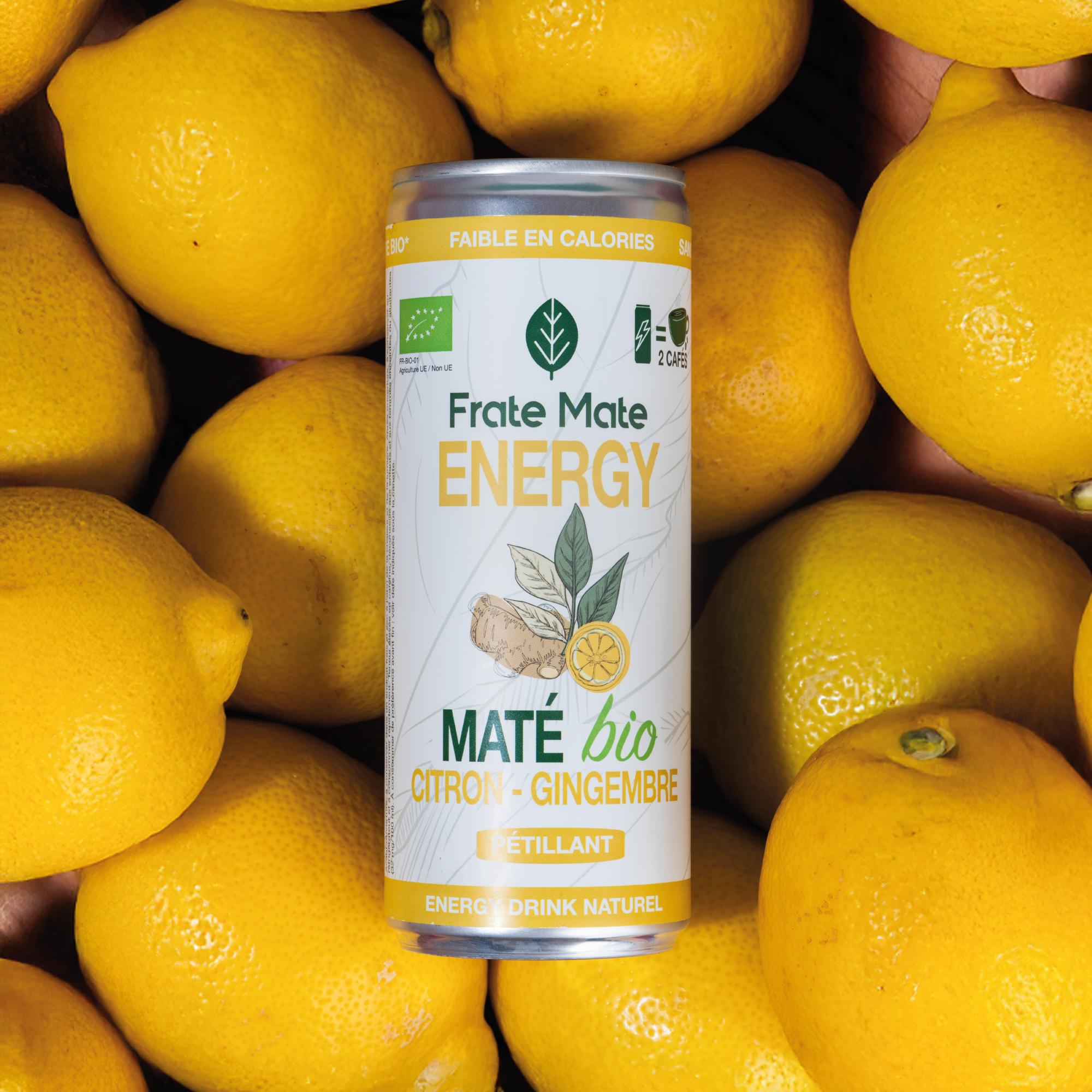 Canette Maté Citron Gingembre