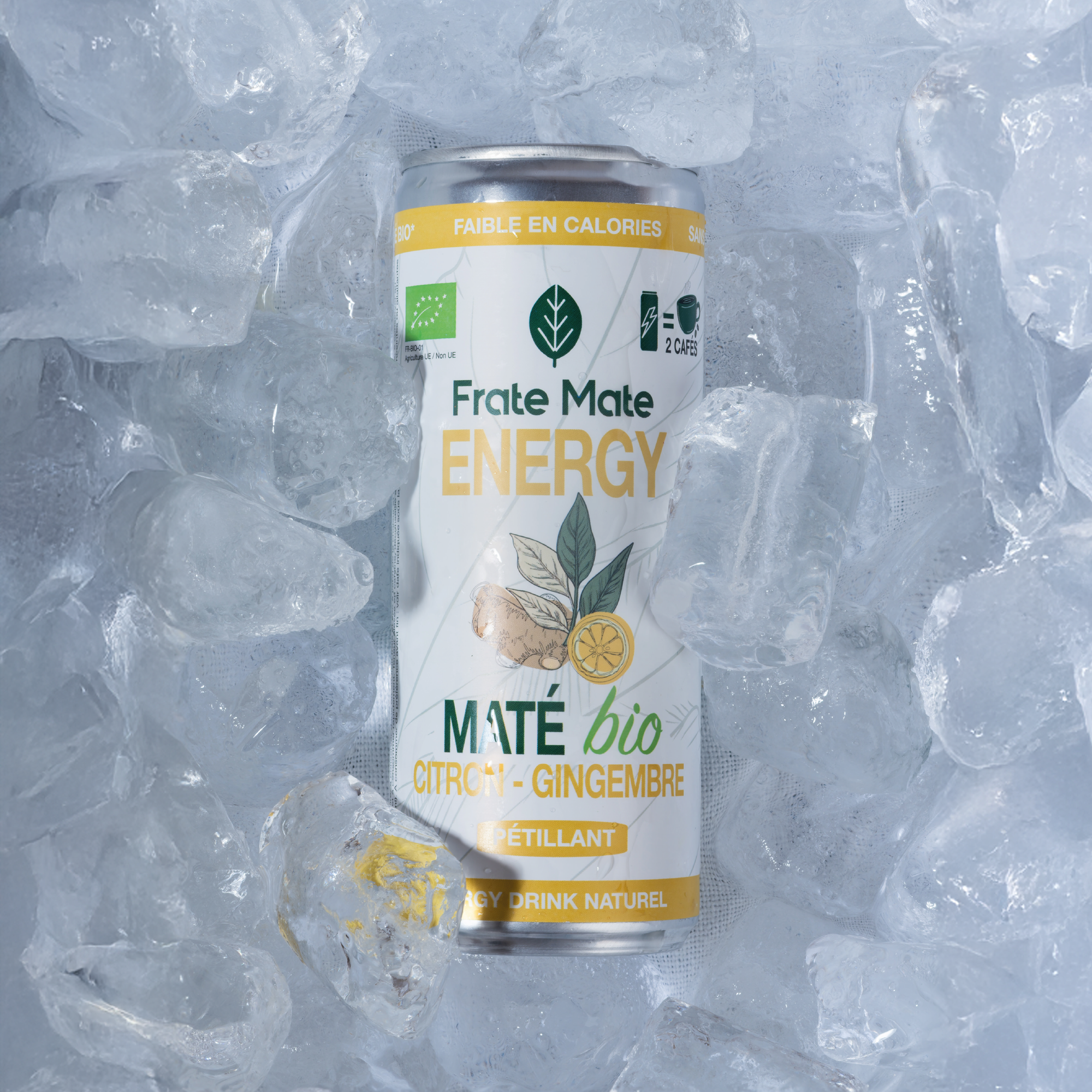 Canette Maté Citron Gingembre