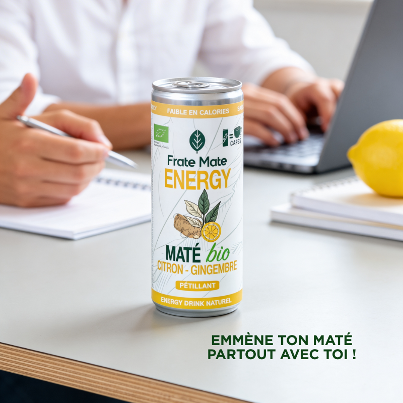 Canette Maté Citron Gingembre