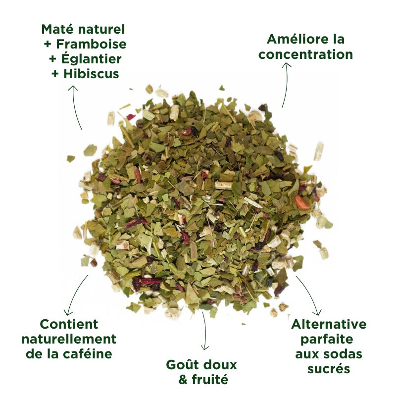 Fraté Maté Fruits Rouges Bio