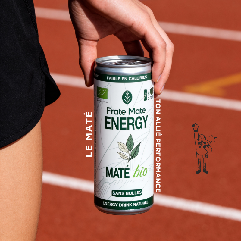 Pack Canettes Maté – Citron Gingembre & Nature – Boisson Végétale 250 ml