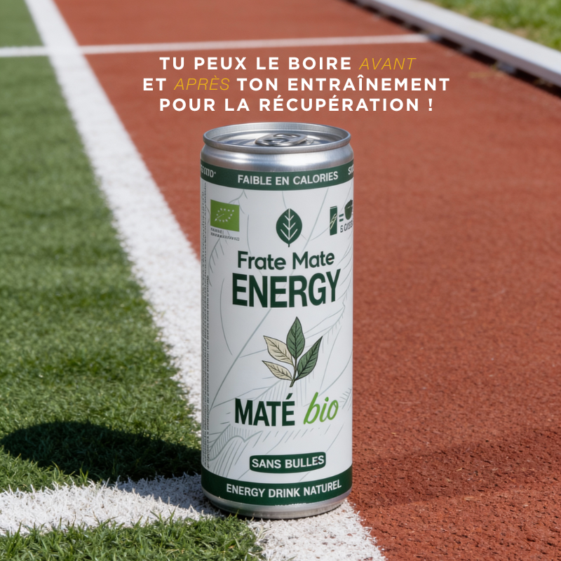 Pack Canettes Maté – Citron Gingembre & Nature – Boisson Végétale 250 ml