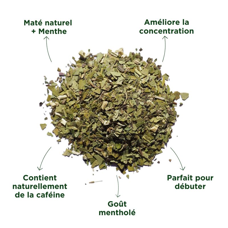 Fraté Maté Menthe Bio