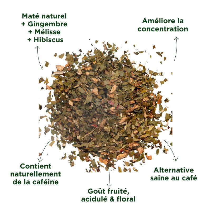 Fraté Maté Détox Bio