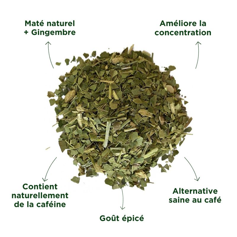 Fraté Maté Gingembre Bio