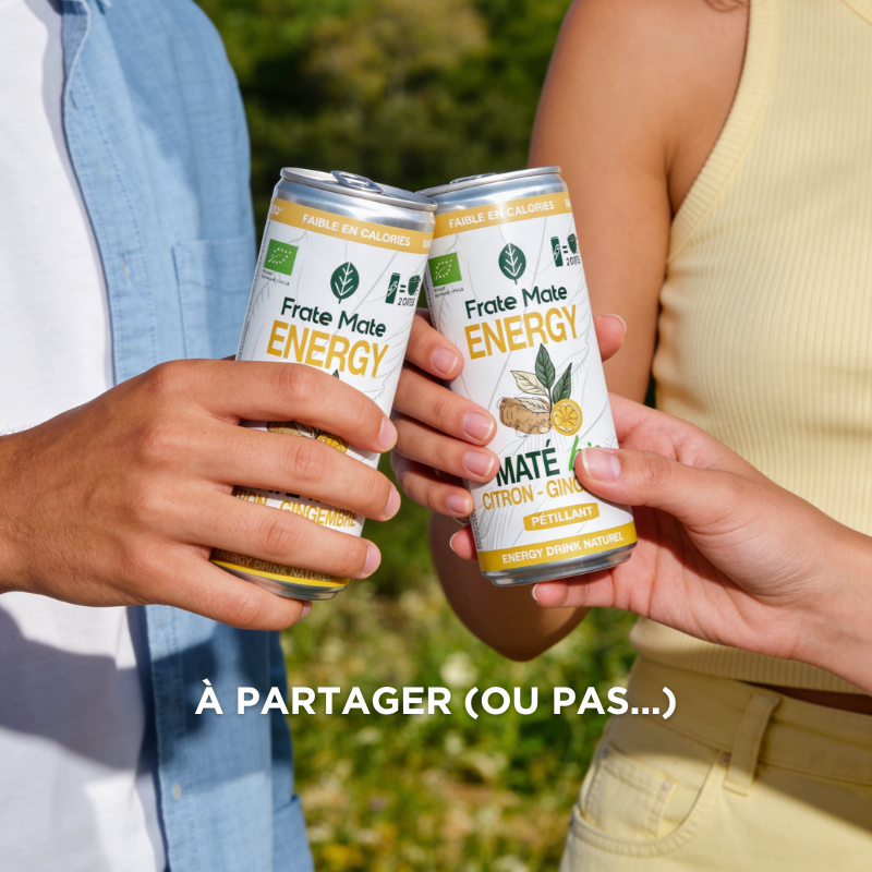 Pack Canettes Maté – Citron Gingembre & Nature – Boisson Végétale 250 ml