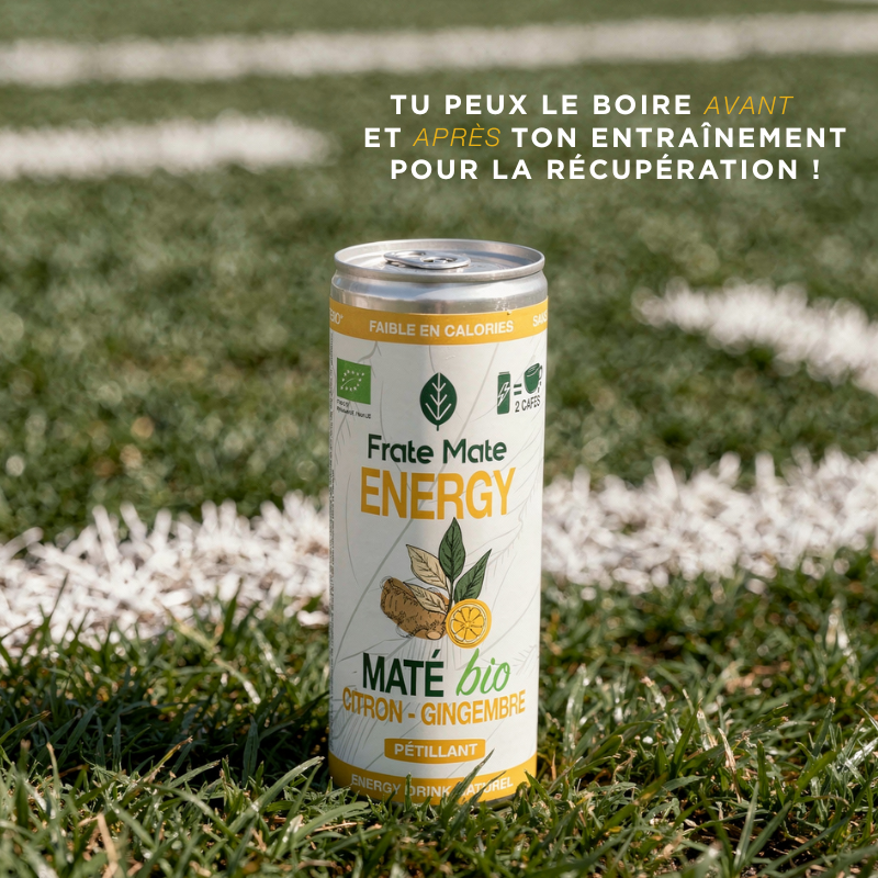 Canette Maté Citron Gingembre