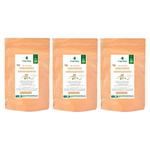 Fraté Maté Gingembre bio 30 sachets