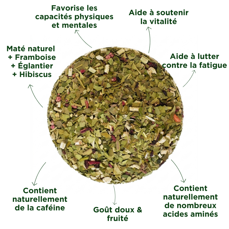 Fraté Maté Fruits Rouges Bio