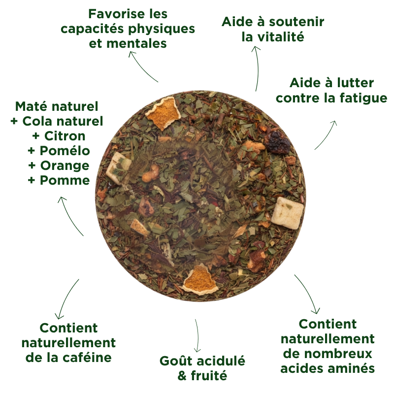 Fraté Maté Cola