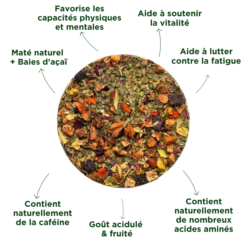Fraté Maté Açaï