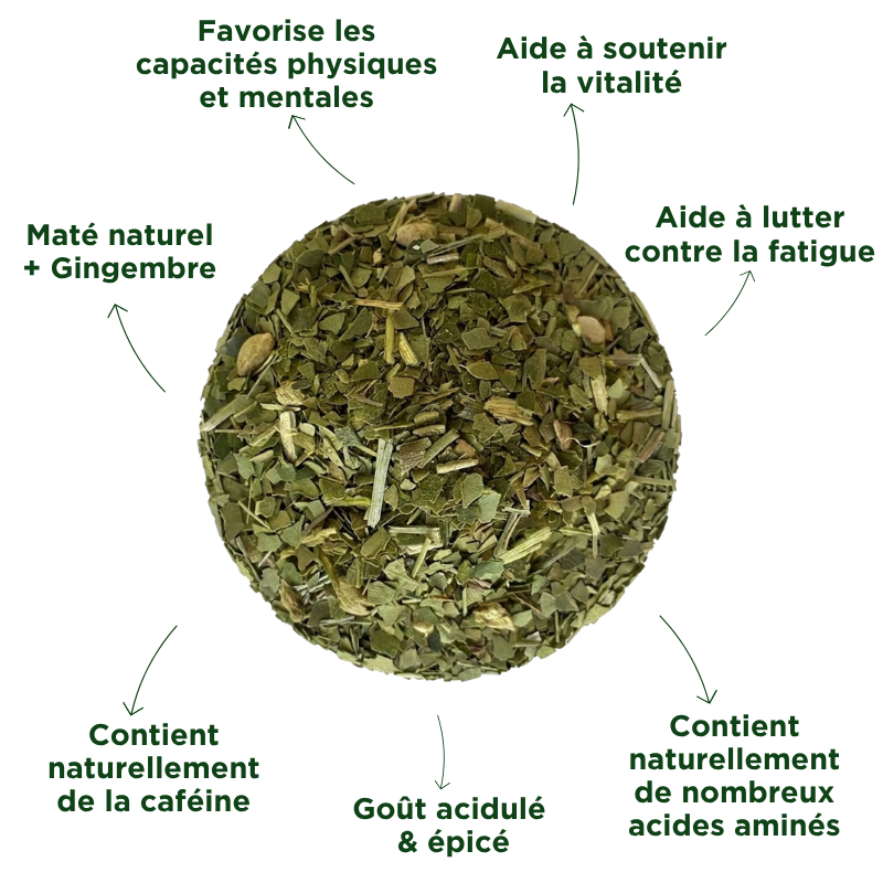 Fraté Maté Gingembre Bio