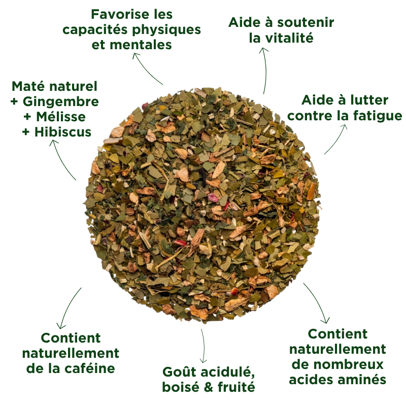 Fraté Maté Harmonie Bio