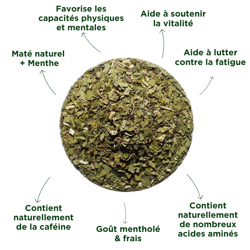 Fraté Maté Menthe Bio