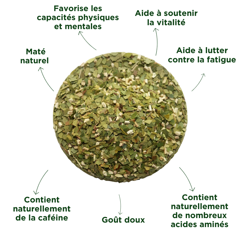 Fraté Maté Original Bio