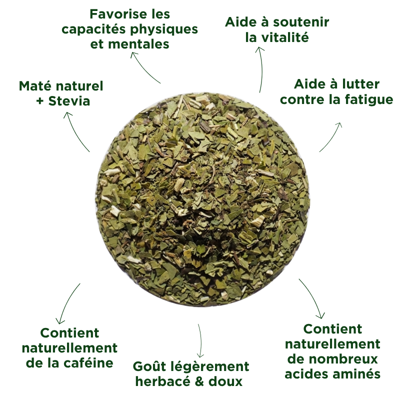 Fraté Maté Stevia Bio