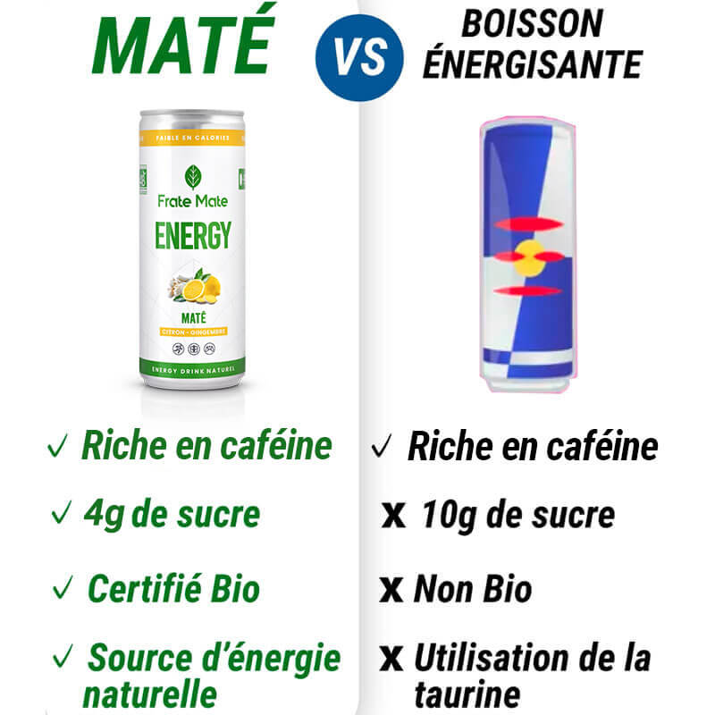 Bombilla Frate - Paille pour Yerba Mate – Fraté Maté