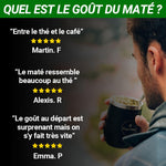 Quel est le gout du maté ?